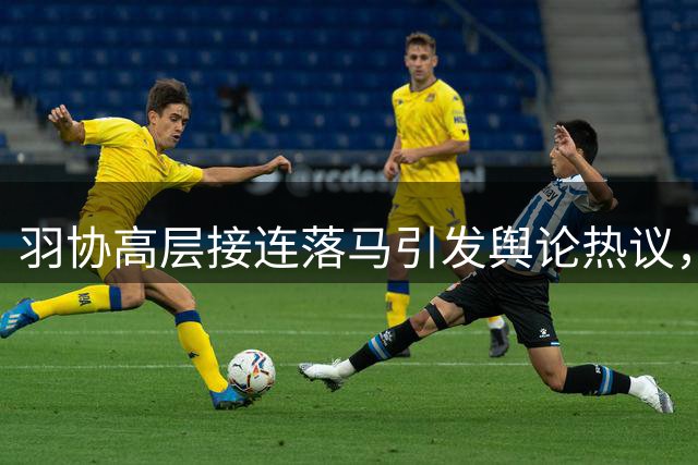 羽协高层接连落马引发舆论热议，乒坛会否掀起反腐风暴？